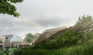 Fit out with the nature