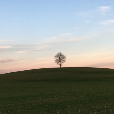 Manifeste pour une frugalité heureuse