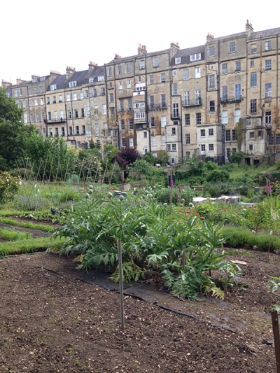 La nature en ville