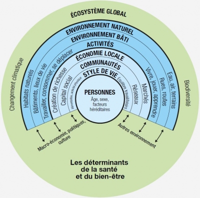 Territoires, incubateurs de santé ?